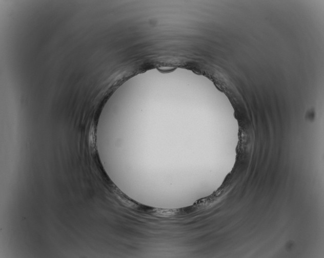 X0000102250143200807250909