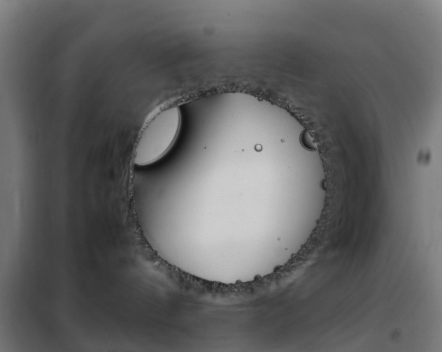 X0000102250144200807250909