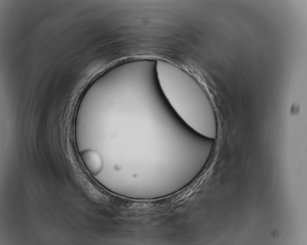 X0000102250145200807250909