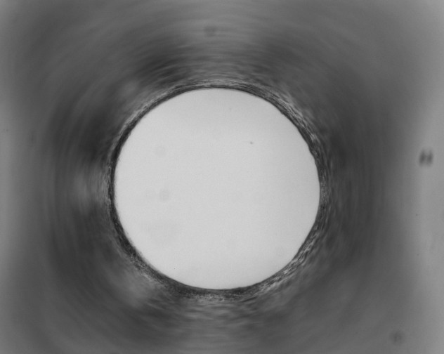 X0000102250146200807250909