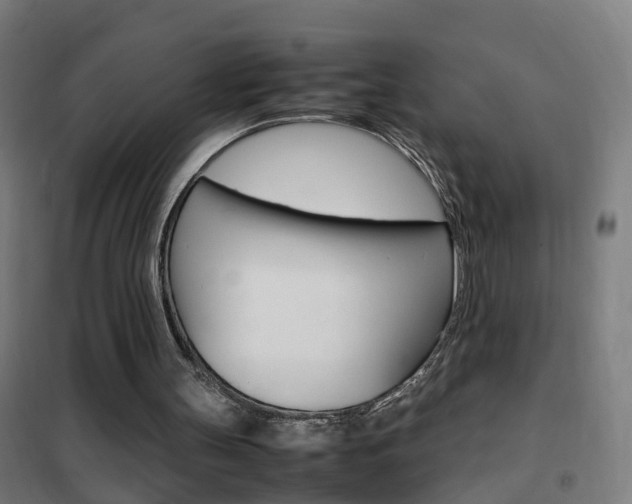 X0000102250147200807250909