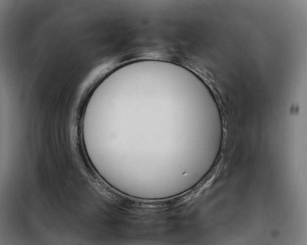 X0000102250149200807250909