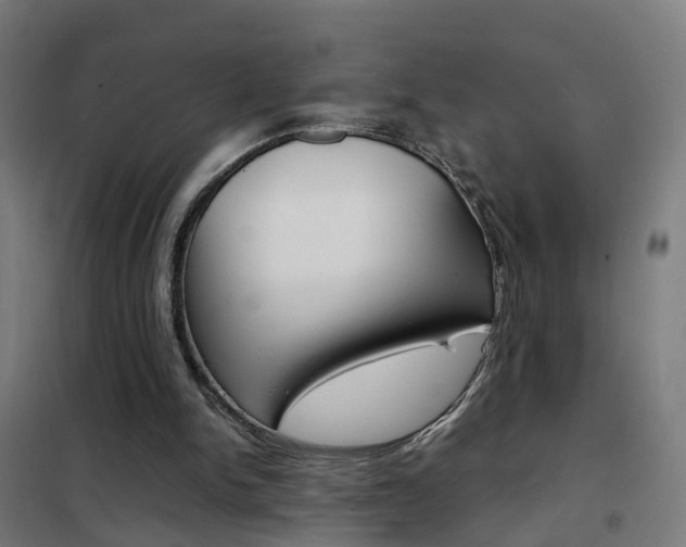 X0000102250150200807250909