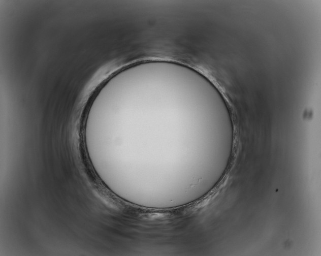 X0000102250151200807250909