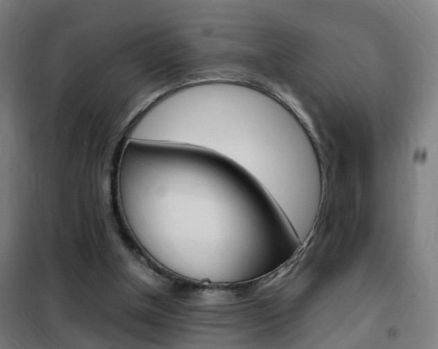 X0000102250154200807250909
