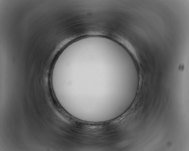 X0000102250155200807250909