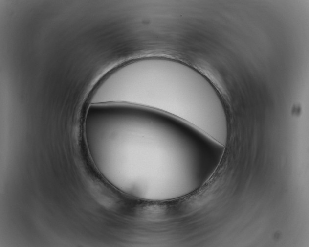 X0000102250156200807250909