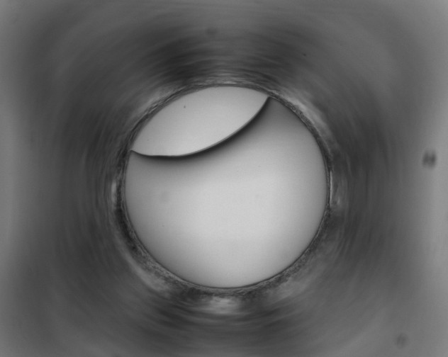 X0000102250157200807250909
