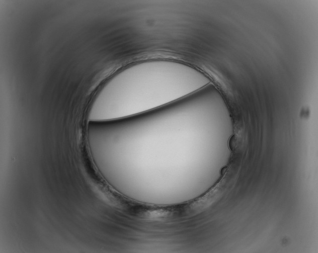 X0000102250158200807250909