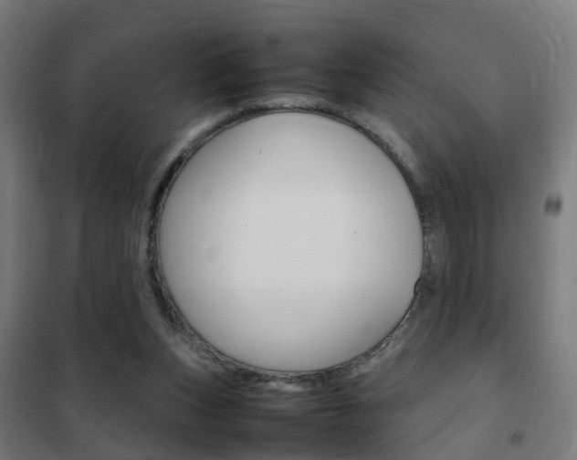 X0000102250159200807250909