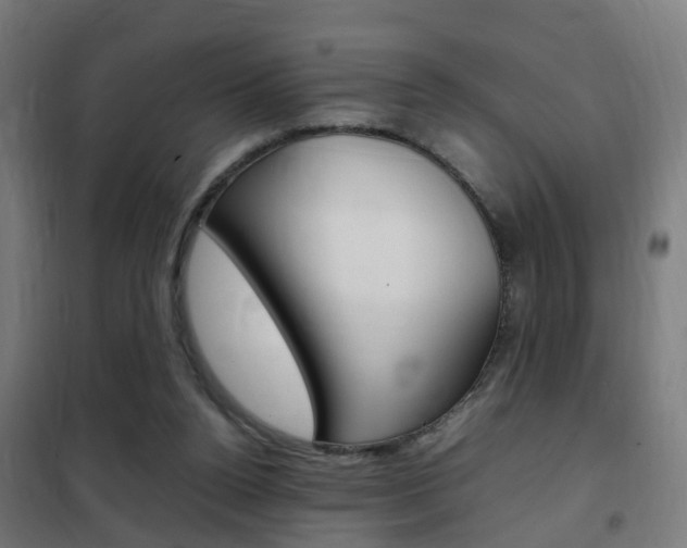 X0000102250160200807250909