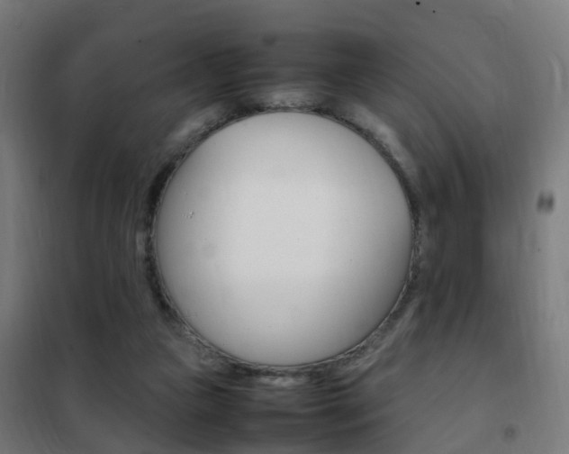 X0000102250161200807250909