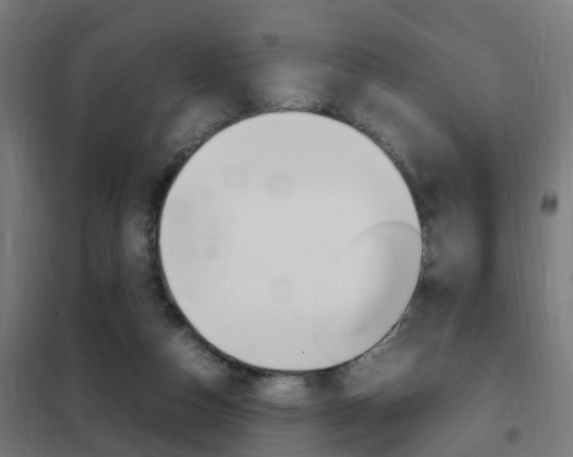 X0000102250162200807250909