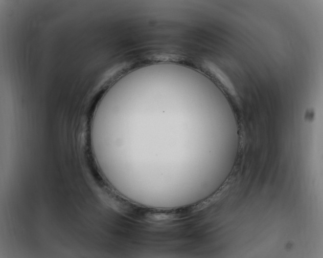 X0000102250163200807250909