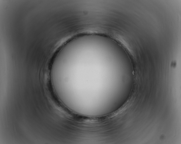 X0000102250164200807250909