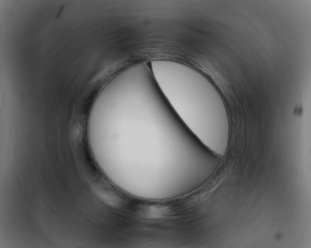 X0000102250165200807250909