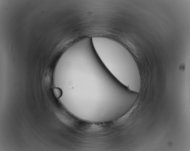 X0000102250166200807250909