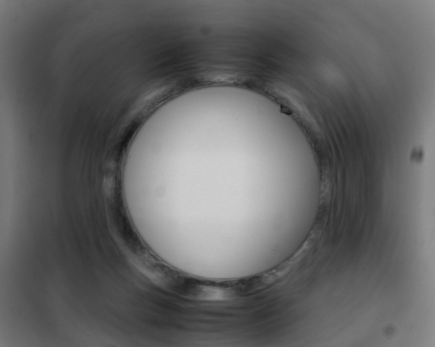 X0000102250167200807250909