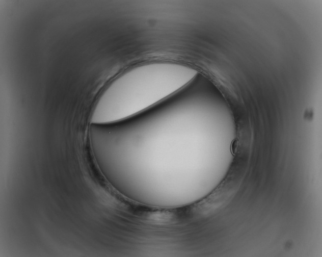 X0000102250168200807250909