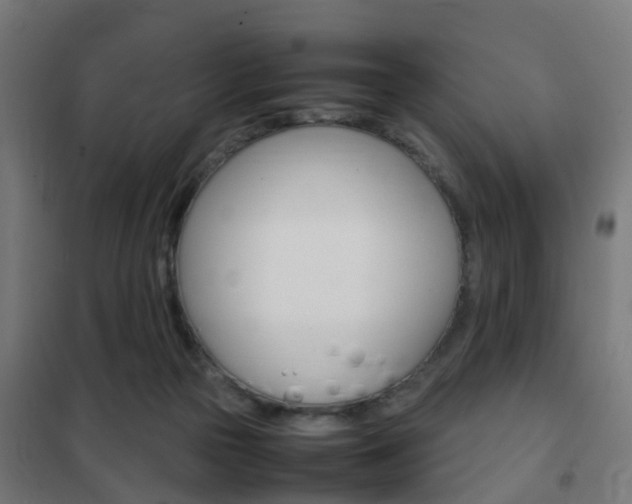 X0000102250169200807250909