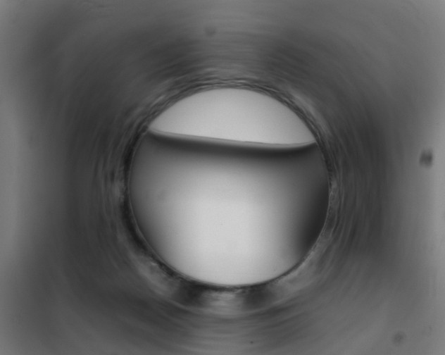 X0000102250170200807250909