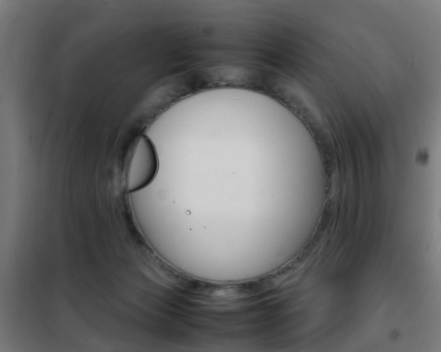 X0000102250173200807250909