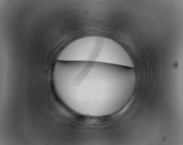 X0000102250174200807250909