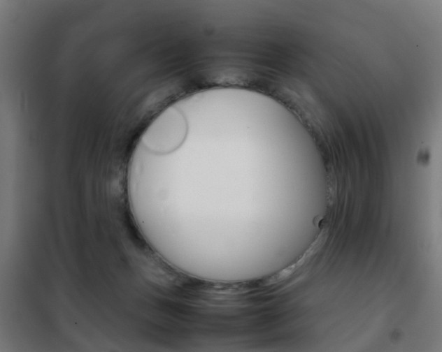 X0000102250175200807250909