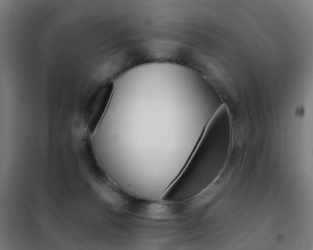 X0000102250176200807250909