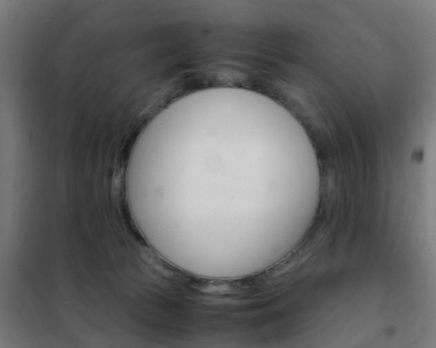 X0000102250177200807250909