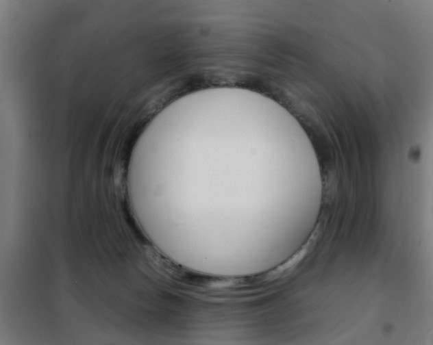 X0000102250178200807250909