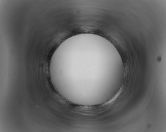X0000102250182200807250909