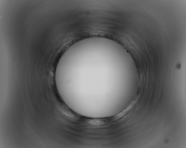 X0000102250183200807250909