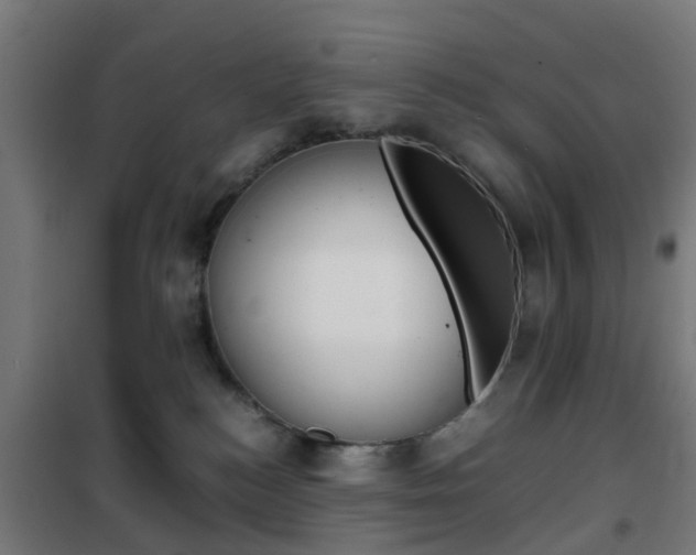 X0000102250184200807250909