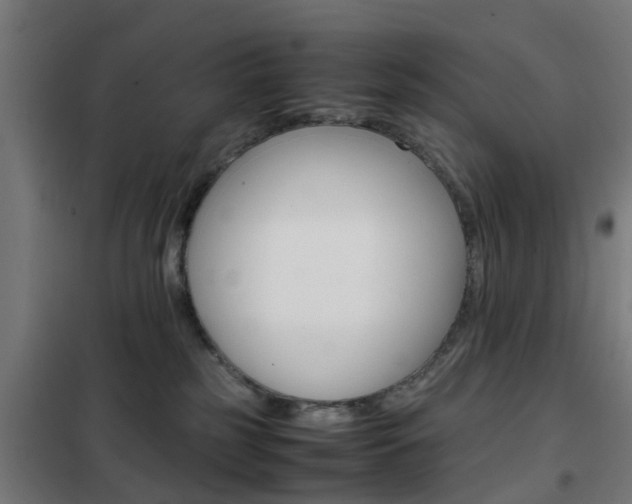 X0000102250185200807250909
