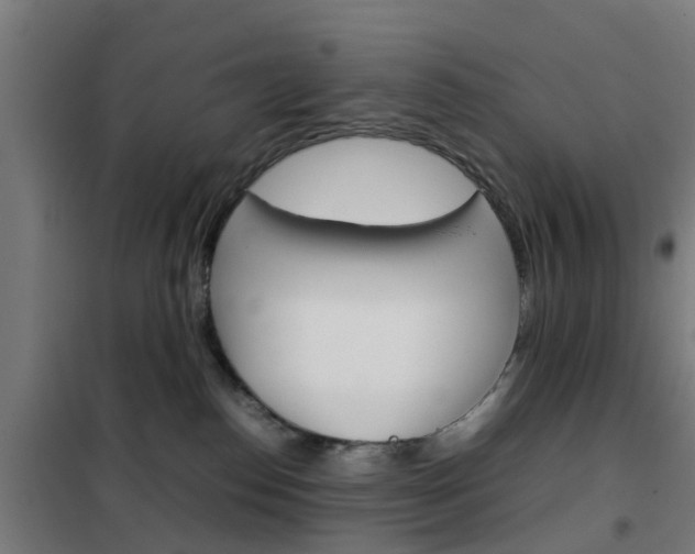 X0000102250186200807250909