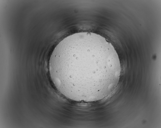 X0000102250187200807250909