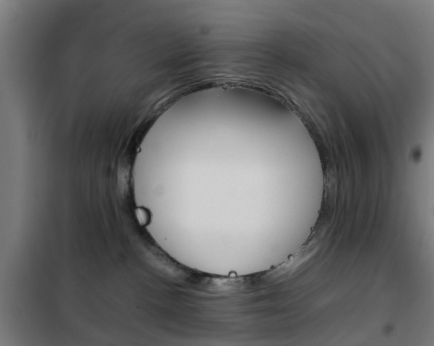 X0000102250188200807250909