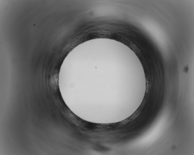 X0000102250190200807250909