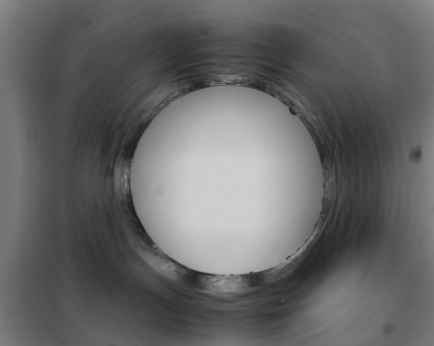 X0000102250191200807250909