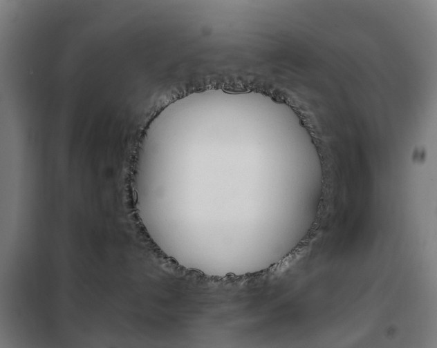 X0000102250192200807250909