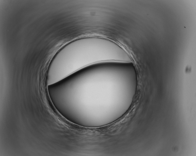 X0000102250193200807250909