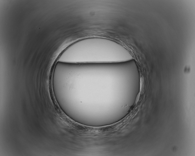 X0000102250195200807250909