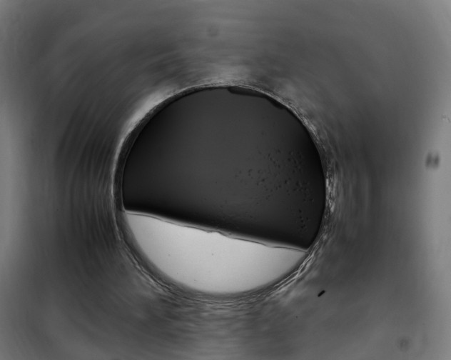 X0000102250196200807250909
