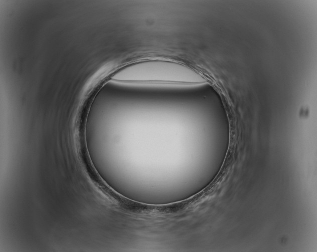 X0000102250197200807250909