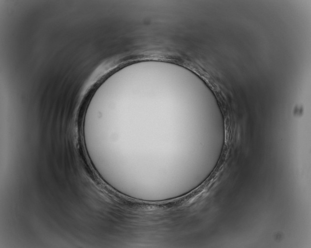 X0000102250198200807250909