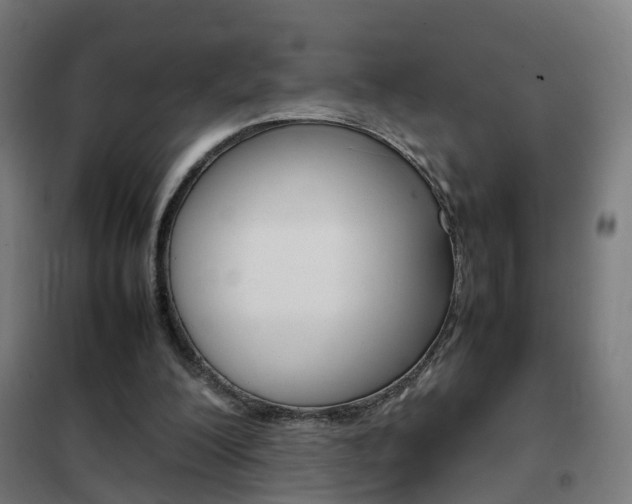 X0000102250200200807250909