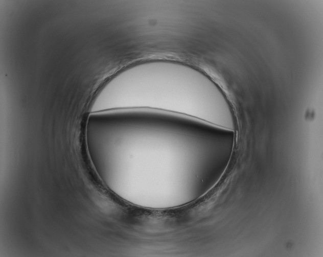 X0000102250201200807250909