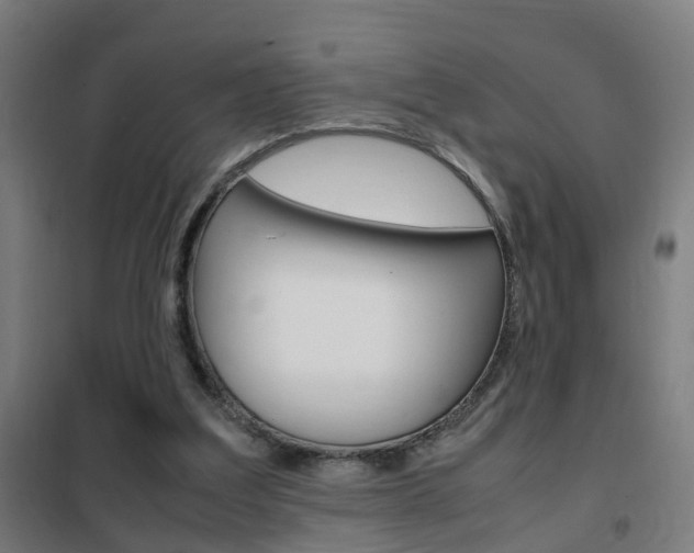 X0000102250203200807250908
