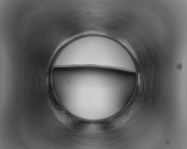 X0000102250204200807250908